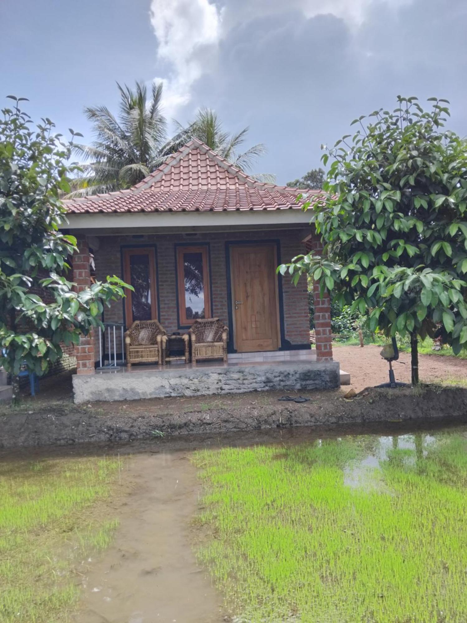 Tereng Wilis Bungalows Tetebatu Exterior photo